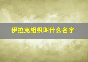 伊拉克组织叫什么名字