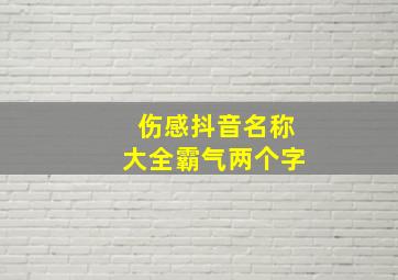 伤感抖音名称大全霸气两个字