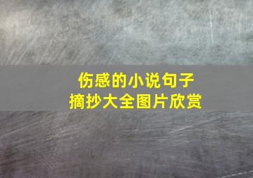 伤感的小说句子摘抄大全图片欣赏