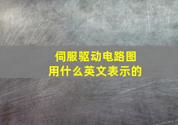 伺服驱动电路图用什么英文表示的