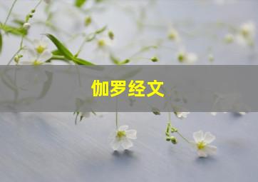 伽罗经文