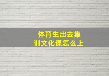 体育生出去集训文化课怎么上