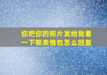 你把你的照片发给我看一下呗表情包怎么回复