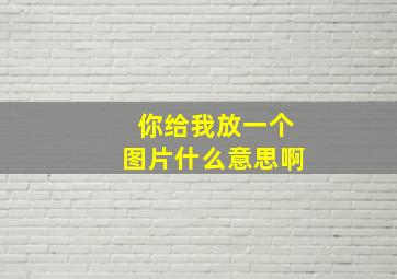 你给我放一个图片什么意思啊