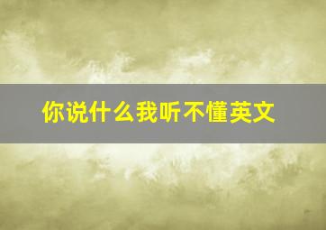 你说什么我听不懂英文