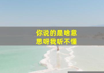 你说的是啥意思呀我听不懂