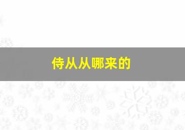 侍从从哪来的