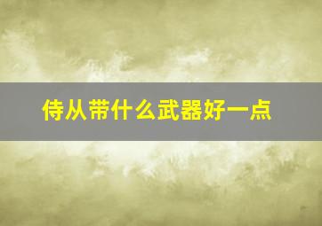 侍从带什么武器好一点