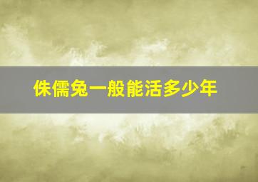 侏儒兔一般能活多少年