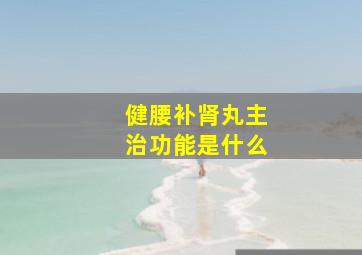 健腰补肾丸主治功能是什么