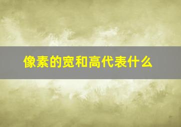 像素的宽和高代表什么