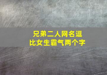 兄弟二人网名逗比女生霸气两个字