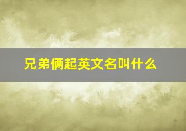 兄弟俩起英文名叫什么