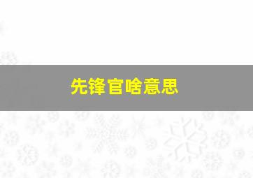 先锋官啥意思