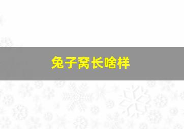 兔子窝长啥样