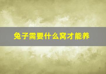 兔子需要什么窝才能养