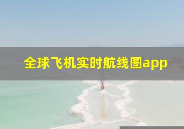 全球飞机实时航线图app