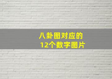 八卦图对应的12个数字图片