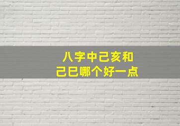 八字中己亥和己巳哪个好一点