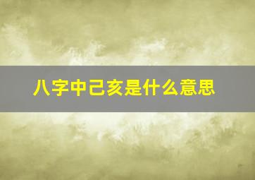 八字中己亥是什么意思