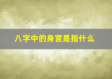 八字中的身宫是指什么