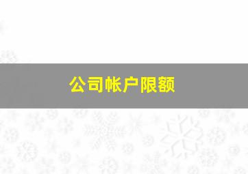 公司帐户限额