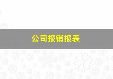 公司报销报表