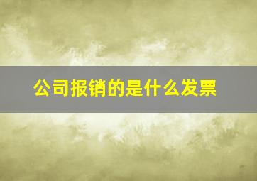 公司报销的是什么发票