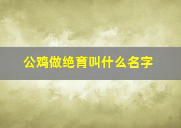 公鸡做绝育叫什么名字