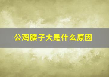 公鸡腰子大是什么原因