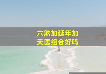 六煞加延年加天医组合好吗