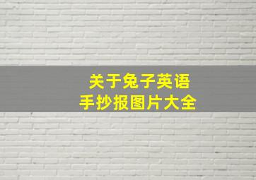 关于兔子英语手抄报图片大全