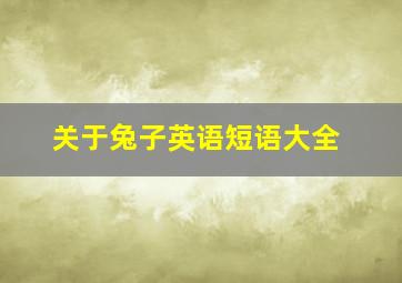 关于兔子英语短语大全