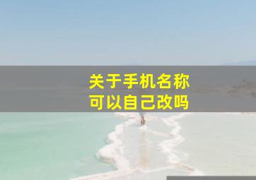 关于手机名称可以自己改吗