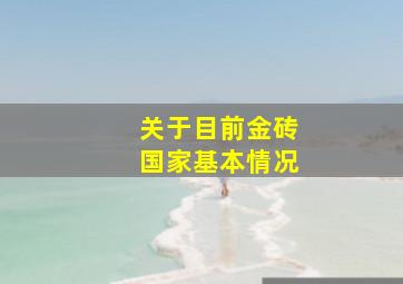 关于目前金砖国家基本情况