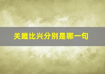 关雎比兴分别是哪一句