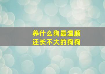 养什么狗最温顺还长不大的狗狗