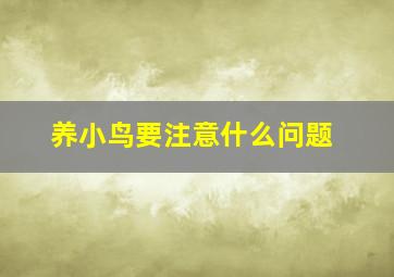 养小鸟要注意什么问题