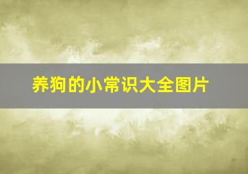 养狗的小常识大全图片