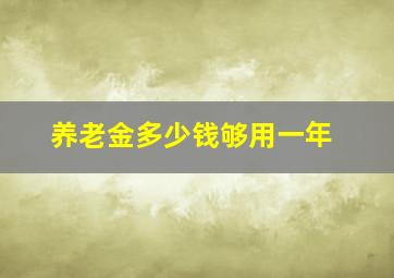 养老金多少钱够用一年