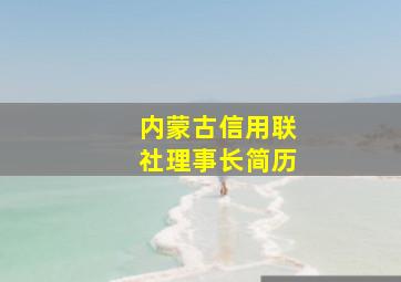 内蒙古信用联社理事长简历