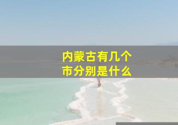 内蒙古有几个市分别是什么