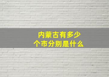 内蒙古有多少个市分别是什么