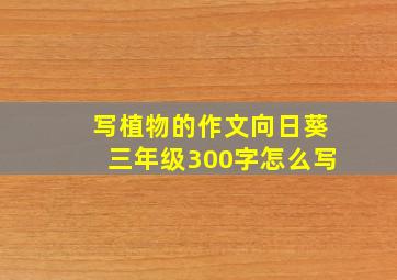 写植物的作文向日葵三年级300字怎么写