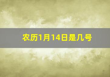 农历1月14日是几号