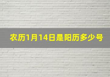 农历1月14日是阳历多少号