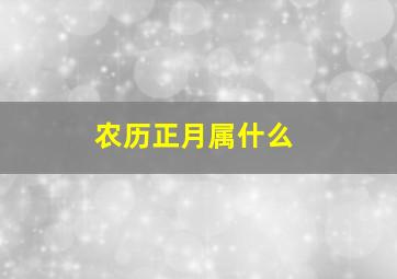 农历正月属什么