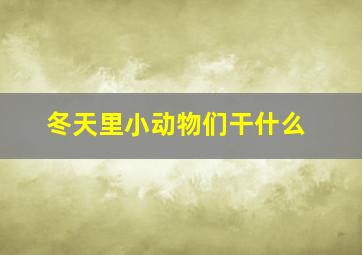 冬天里小动物们干什么