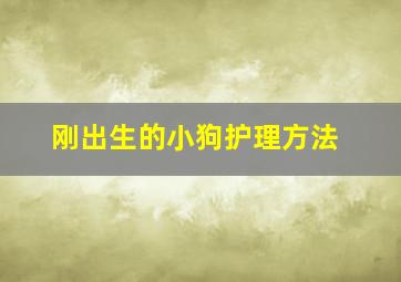 刚出生的小狗护理方法