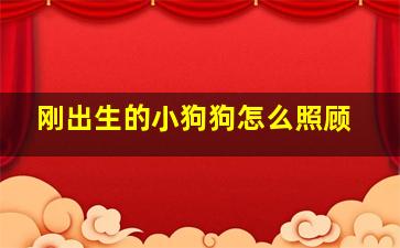 刚出生的小狗狗怎么照顾